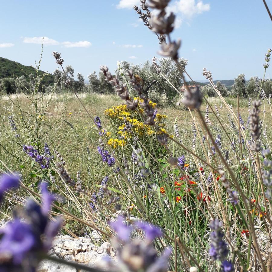 Agriturismo Poggio Falco Batignano Екстериор снимка
