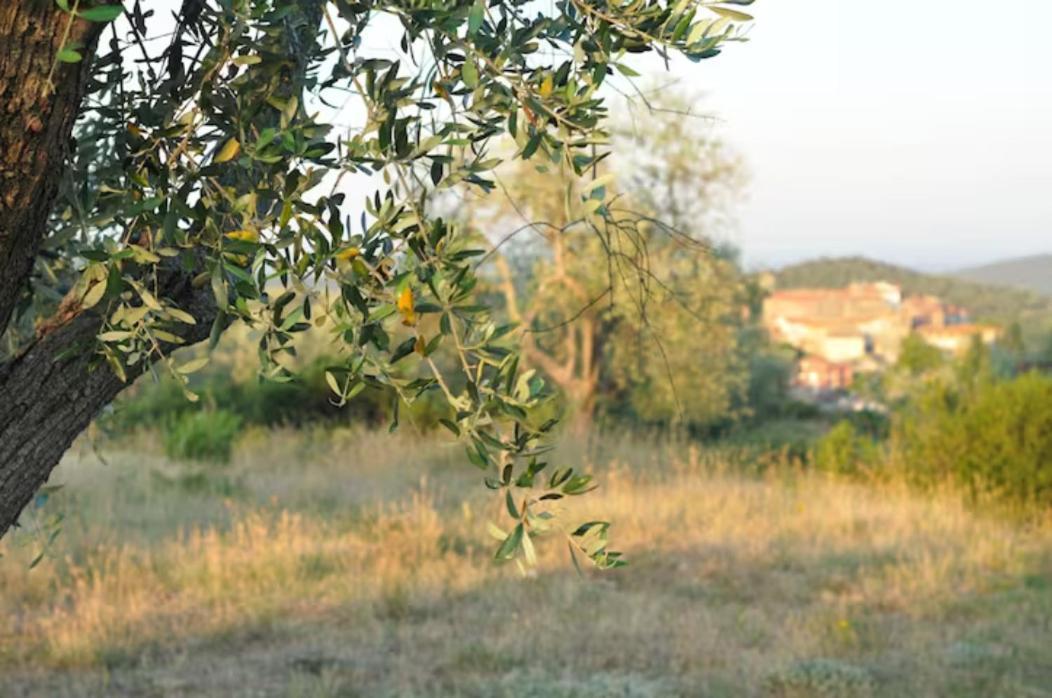 Agriturismo Poggio Falco Batignano Екстериор снимка
