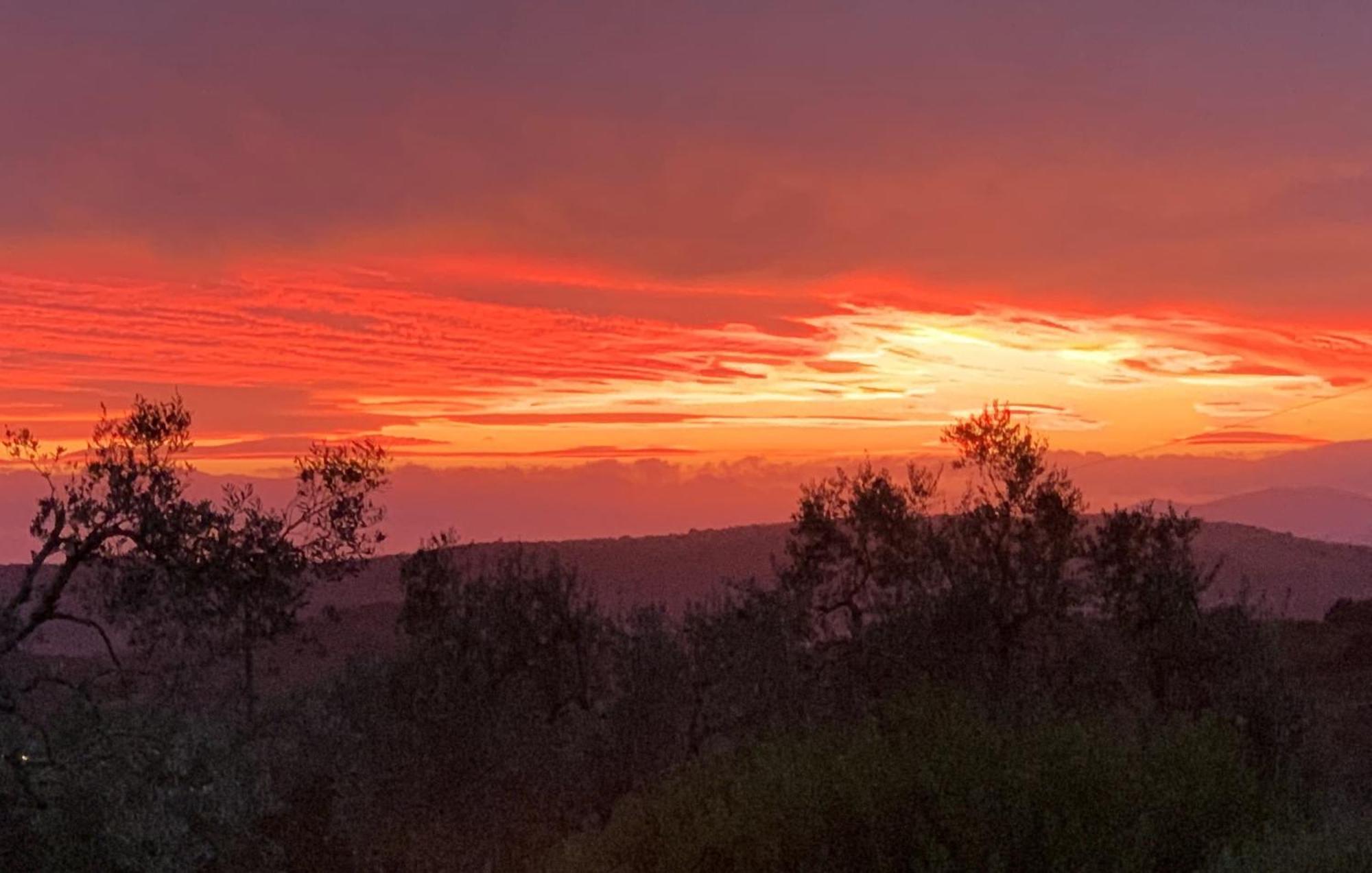 Agriturismo Poggio Falco Batignano Екстериор снимка