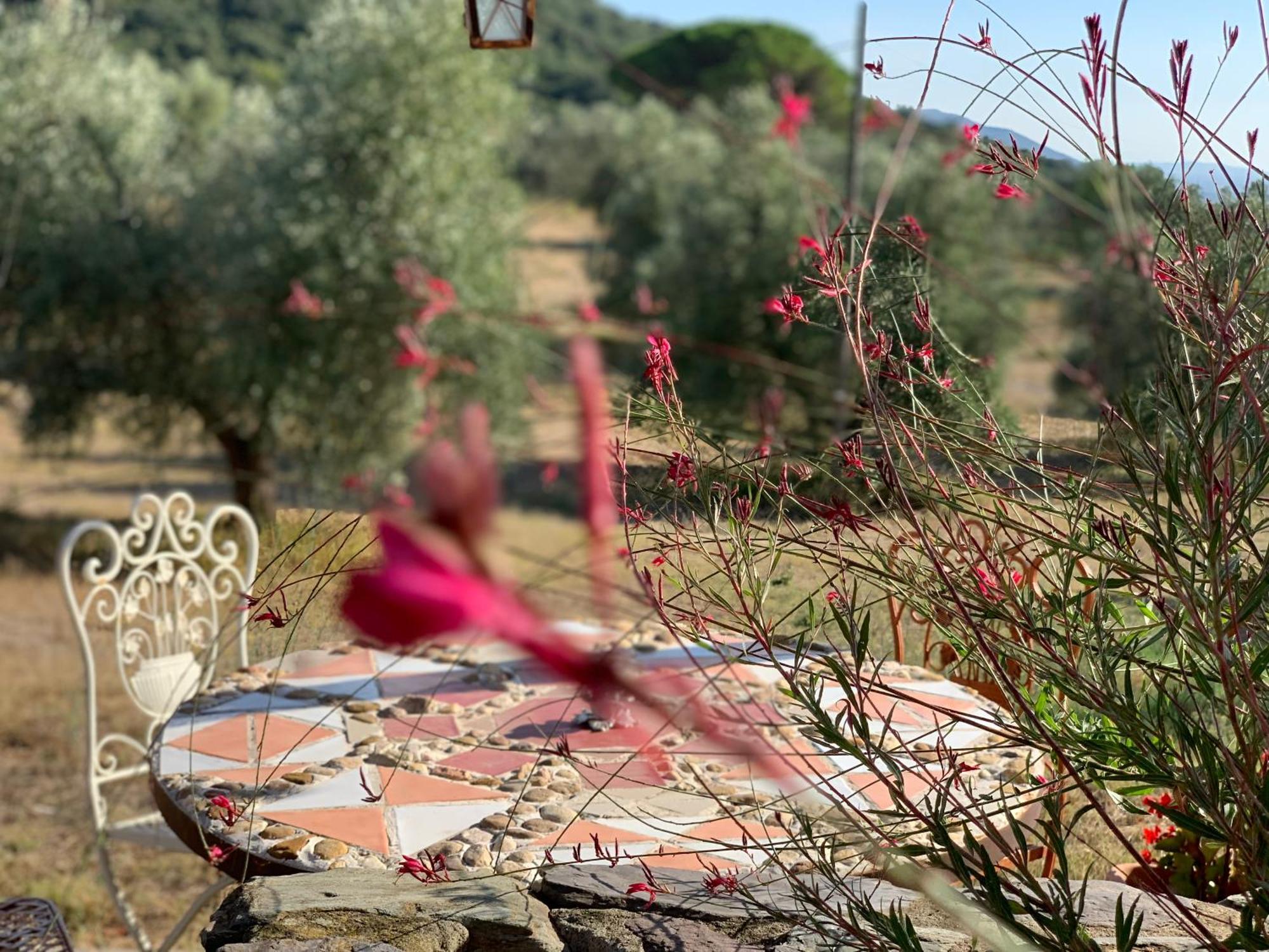 Agriturismo Poggio Falco Batignano Екстериор снимка