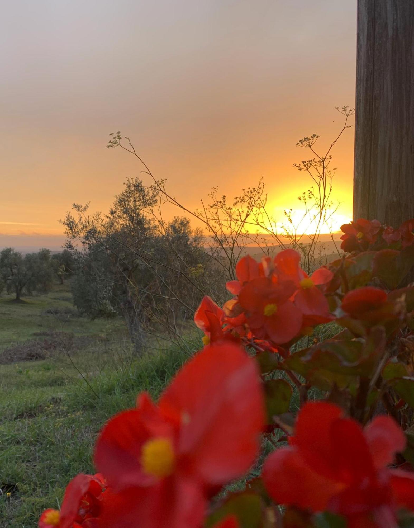 Agriturismo Poggio Falco Batignano Екстериор снимка