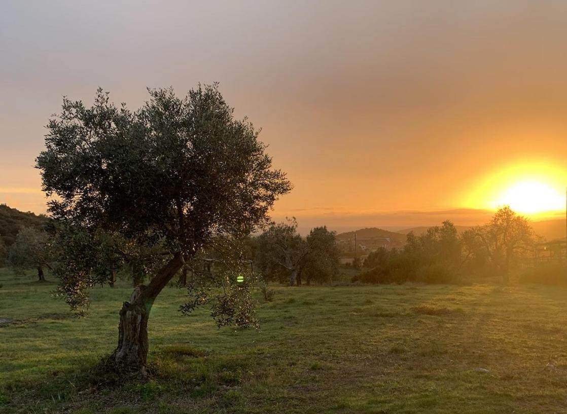 Agriturismo Poggio Falco Batignano Екстериор снимка